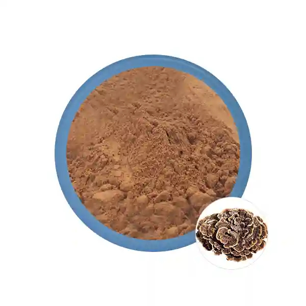 Organic Maitake Mushroom Extract